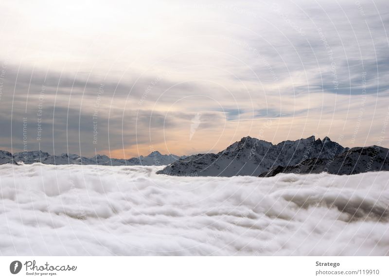 Übersicht Wolken Nebel Nebelmeer Gipfel Kanton Graubünden alpin Schweiz Winter kalt Himmel Berge u. Gebirge Schnee Alpen Lenzerheide Piz Scalottas Aussicht hoch
