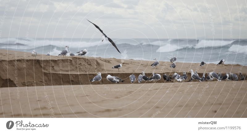 Porto-Grau. Kunst ästhetisch Zufriedenheit Möwe Möwenvögel Stranddüne Strandspaziergang Strandgut Strandleben Portugal grau schlechtes Wetter Farbfoto