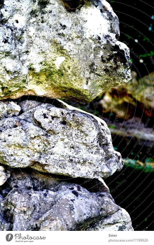 Versteinerte Gesichter Kunst Skulptur Natur Felsen Stein Figur Muster Farbfoto Außenaufnahme Detailaufnahme Strukturen & Formen Menschenleer Textfreiraum rechts