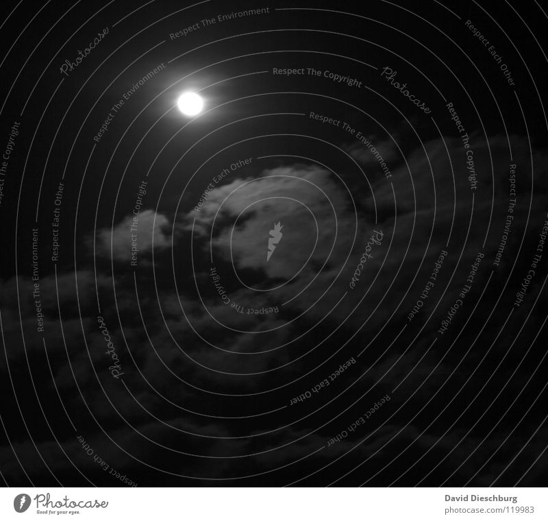 Achtung Werwölfe Panik Luft Sauerstoff Nacht Beleuchtung Werwolf Wolf Wolken Nebel rund Feierabend Schleier dunkel schwarz Angst Himmelskörper & Weltall