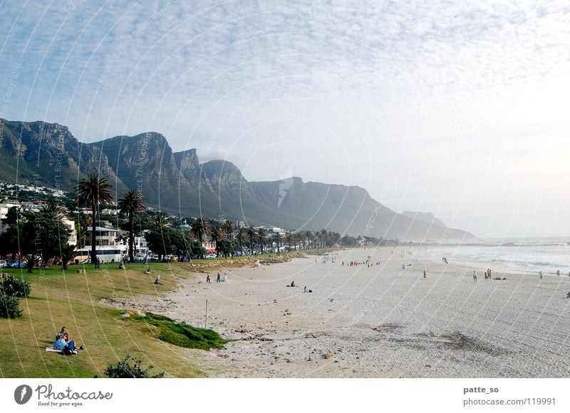 Strand und Berge Kapstadt Physik grün Palme Afrika Wärme Berge u. Gebirge Wasser Sand