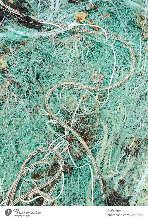Netzwerken 2 Seil Fisch Schnur Knoten Arbeit & Erwerbstätigkeit fangen außergewöhnlich dünn grün nachhaltig Natur Angeln Fischereiwirtschaft Fischerboot