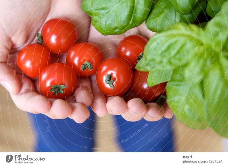 und dann noch Mozzarella... Gemüse Kräuter & Gewürze Tomate Cherrytomaten Strauchtomate Basilikum Ernährung Bioprodukte Vegetarische Ernährung Slowfood