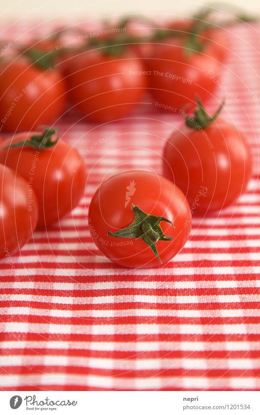 very cherry Strauchtomaten Gemüse Tomate Bioprodukte Vegetarische Ernährung Italienische Küche Tischwäsche genießen rot mehrere kariert gesund Farbfoto
