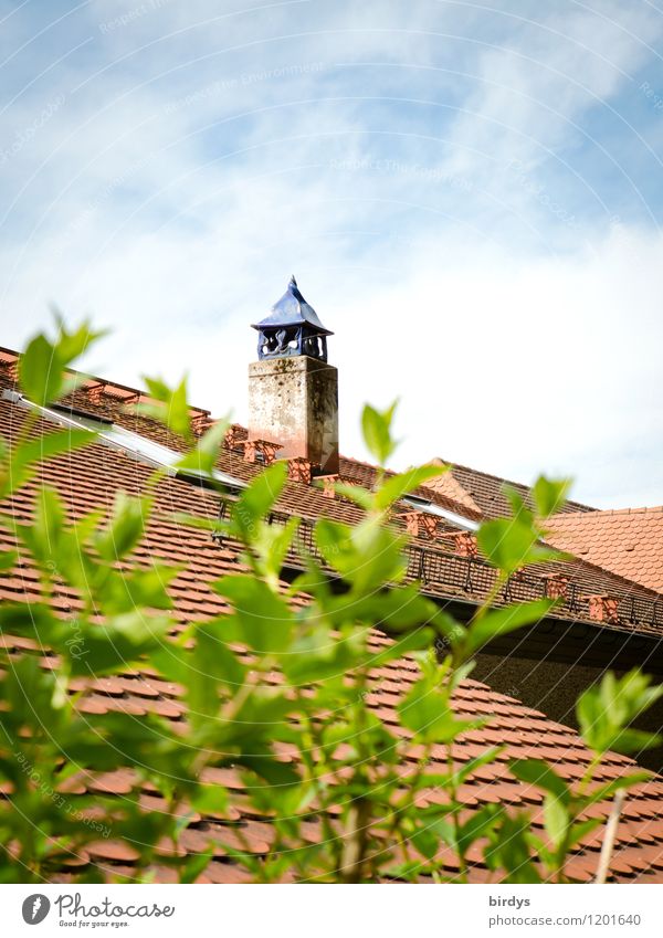 Kamin mit Mütze Himmel Frühling Sommer Schönes Wetter Pflanze Sträucher Dach außergewöhnlich positiv Kreativität Stil ländlich Farbfoto Außenaufnahme