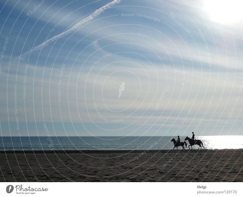 Silhouette von zwei Reitern am Strand im Gegenlicht Ausritt träumen Pferd Schwanz Hand Pferdegangart Küste Meer See Meerwasser Wolken Sonne Licht