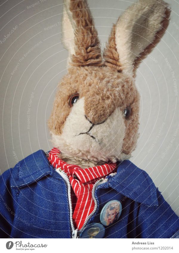 Hasenportrait Spielzeug Stofftiere Spielen niedlich Stimmung Kindheit Hase & Kaninchen Porträt Farbfoto Innenaufnahme Blick in die Kamera