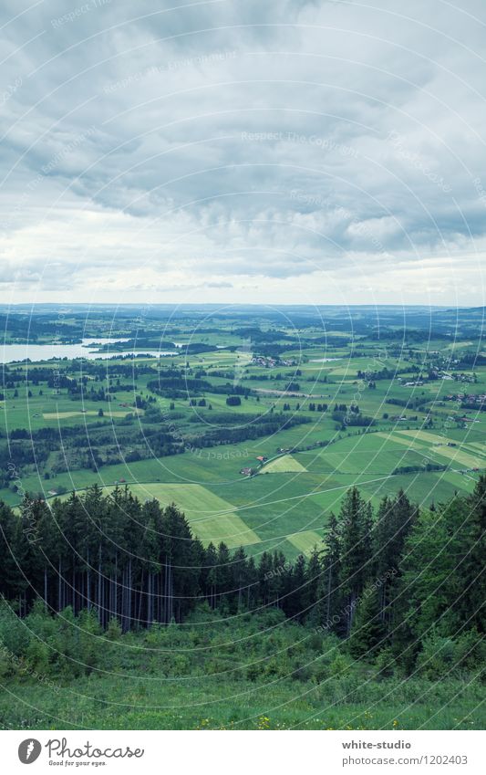 Ebene Umwelt Natur Landschaft wandern grün Wolken Aussicht Wiese Wald See Teppich Ackerbau Landwirtschaft fruchtbar Agrarprodukt Bayern saftig Weide Farbfoto