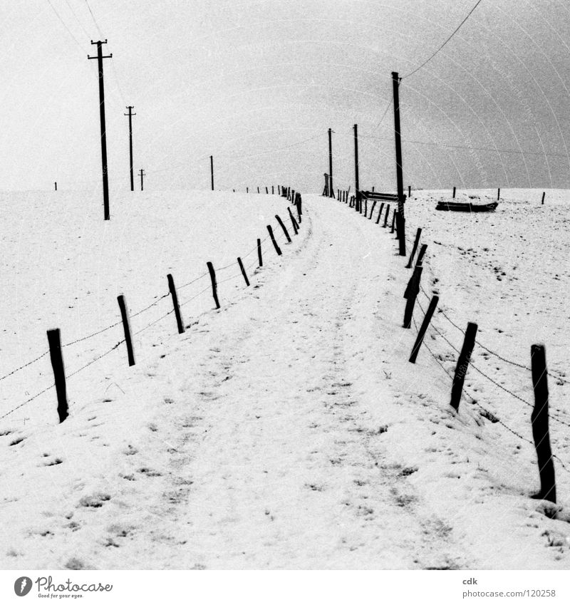 Winterreise Spazierweg Fußweg Horizont Luft Strommast Feld Wiese Zaun Jahreszeiten kalt weiß Menschenleer Einsamkeit ländlich Erholung atmen Spaziergang wandern