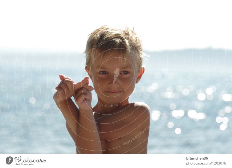 Sommer, Sonne, See... Mensch maskulin Kind Junge Kindheit Oberkörper 1 3-8 Jahre Schönes Wetter Bodensee Lächeln Spielen blond Freundlichkeit Fröhlichkeit