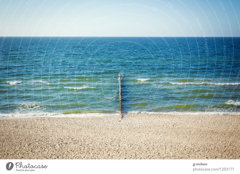 Am Strand Natur Landschaft Sand Wasser Himmel Horizont Sommer Küste Ostsee frei groß blau gelb Farbfoto Außenaufnahme Menschenleer Textfreiraum oben Tag