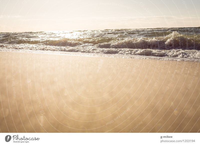 Goldenes Meer Natur Landschaft Sand Wasser Sonnenlicht Sommer Wellen Küste Strand Ostsee hell Wärme Farbfoto Außenaufnahme Menschenleer Textfreiraum unten Abend