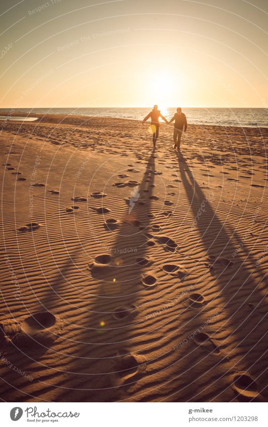 Paar im Sonnenuntergang Natur Sand Wasser Sonnenaufgang Sonnenlicht Strand Ostsee Meer genießen lachen laufen toben Freude Glück Fröhlichkeit Lebensfreude Liebe