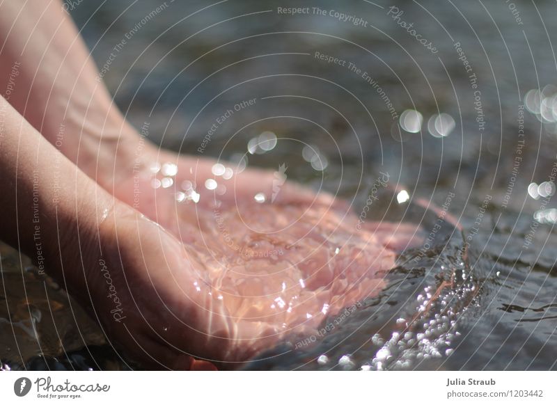 Glitzer feminin Hand Wasser Sommer Klimawandel Schönes Wetter fangen Flüssigkeit Reinlichkeit Sauberkeit Reinheit Energie Umwelt Umweltverschmutzung