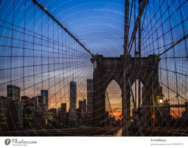 Brooklyn Bridge Ferien & Urlaub & Reisen Sightseeing Städtereise Himmel Sonnenaufgang Sonnenuntergang Sommer New York City Stadt Skyline Brücke Gebäude