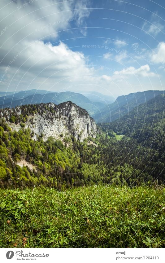 Ausblick Umwelt Natur Landschaft Sommer Schönes Wetter Wald Hügel natürlich blau grün Schweiz Ausflug Wandertag Wanderausflug Farbfoto Außenaufnahme