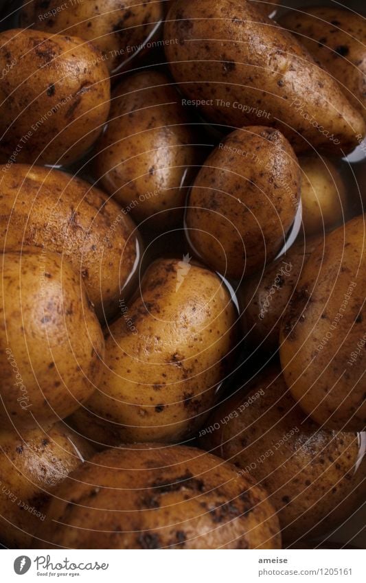 Kartoffel | Festkochend (2) Lebensmittel Gemüse Kartoffeln Ernährung Bioprodukte Topf Natur Urelemente Erde Wasser Essen braun gelb schwarz Appetit & Hunger