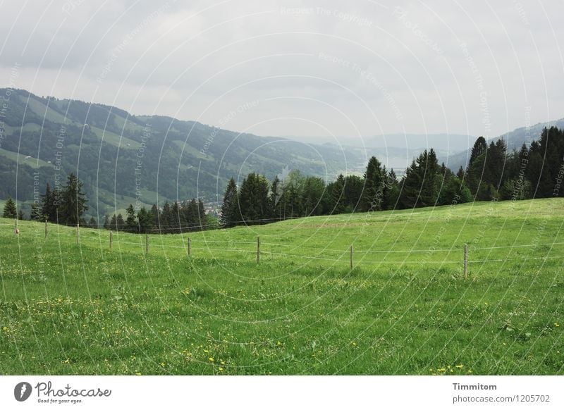 Irgendwo im Allgäu (2) Ferien & Urlaub & Reisen Umwelt Natur Landschaft Pflanze Himmel Wolken Wetter Baum Gras Hügel Zaun Holzpfahl ästhetisch frisch grau grün