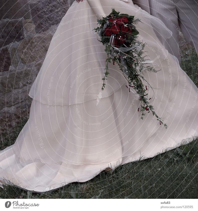 1/2 braut (1) Braut Kleid Brautkleid Hälfte Hochzeit Blume Rose