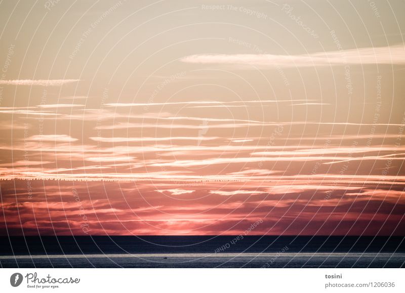 Red Light Natur schön Wolken Meer Sehnsucht gewaltig Kondensstreifen Farbfoto Außenaufnahme Menschenleer Textfreiraum oben Sonnenlicht Sonnenaufgang
