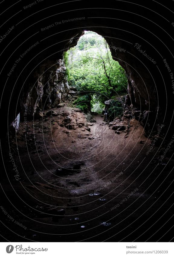 Cova d'es Coloms Umwelt gefährlich Respekt Höhle gewaltig groß Eingang Lichtschein Tunnel Kathedrale beeindruckend Sträucher dunkel schwarz Farbfoto