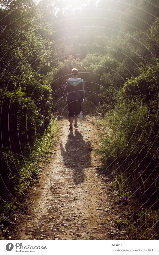 Long way to go Junge Frau Jugendliche Erwachsene 1 Mensch laufen wandern Wege & Pfade Denken Wald Sträucher Sommer unterwegs Spazierweg Einsamkeit nachdenklich