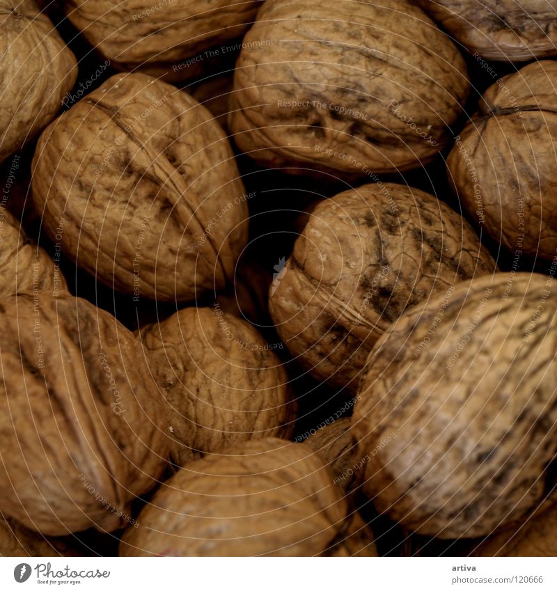 walnuts Holzmehl Hintergrundbild yield brown kernel seed dry