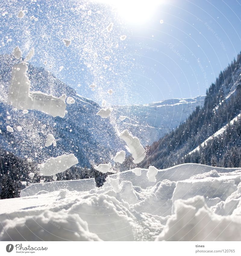 Vom Schnee verweht Wald weiß Krümel Flocke Lawine Winter Berge u. Gebirge Wind blau Sonne Bruchstück Stern