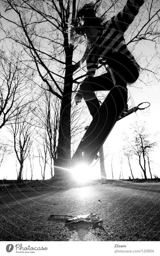 go skating Abenddämmerung Aktion Skateboarding Zufriedenheit Kickflip Salto springen gestreift Teer Beton Licht Baum Weitwinkel Jugendliche Sport Blatt Funsport