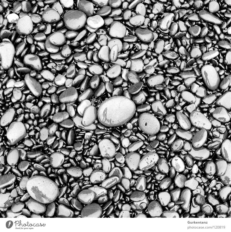 Pebbles nass grau Strand Kieselsteine Island Stein Mineralien Küste Schwarzweißfoto Regen Wasser wallpaper Strukturen & Formen