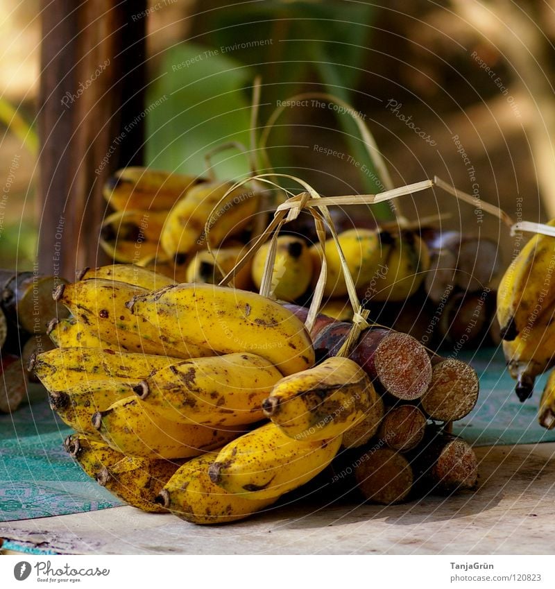 Elefantenfutter Banane Zuckerrohr Futter Bündel Bast Holz gelb braun Gras Asien Thailand Chiangmai Dekoration & Verzierung Gesundheit Schleife Frucht Ernährung