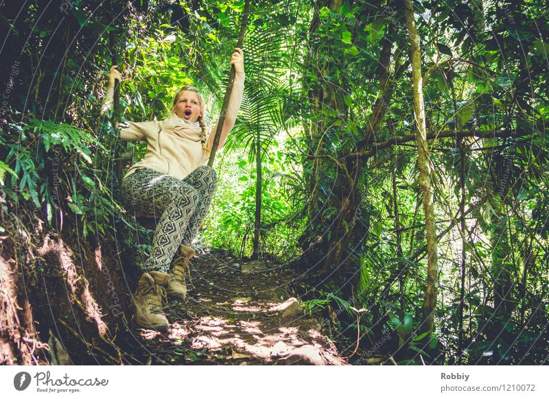 Aaaeeoooooeeooo!!! Ferien & Urlaub & Reisen Abenteuer Junge Frau Jugendliche 1 Mensch 18-30 Jahre Erwachsene Natur Baum Liane Wald Urwald Australien schaukeln