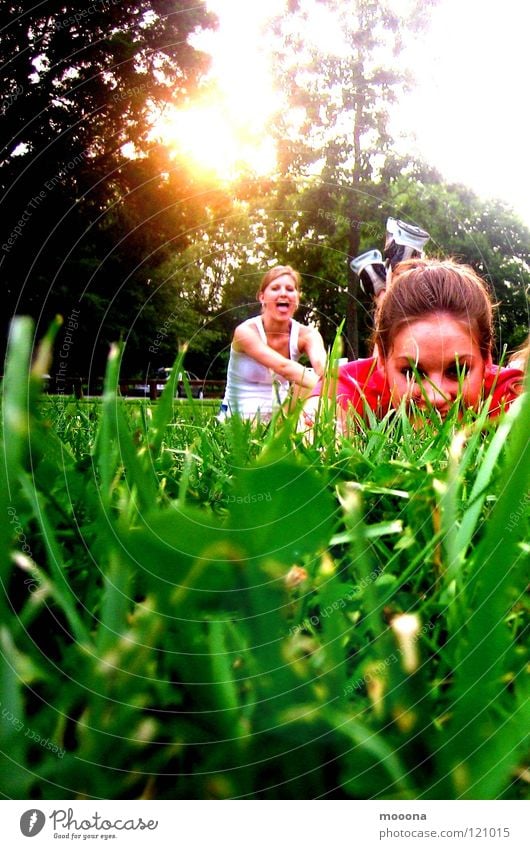 Summer time Gras Wiese Spielplatz Physik Sonne Turnschuh Garten Park fun Zunge Freude verstecken Wärme Abend