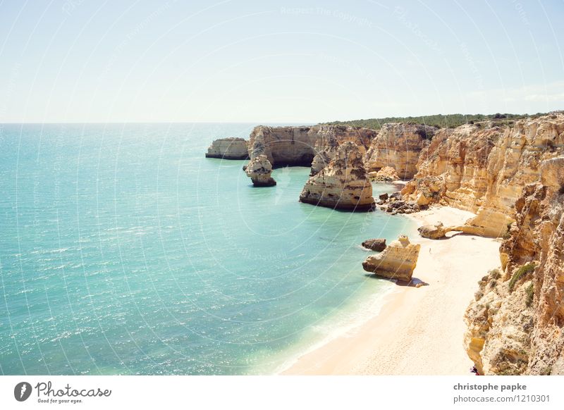 Typisch Algarve Ferien & Urlaub & Reisen Sommer Sonnenbad Strand Meer Wolkenloser Himmel Schönes Wetter Felsen Wellen Küste Bucht Portugal heiß hell Felsküste