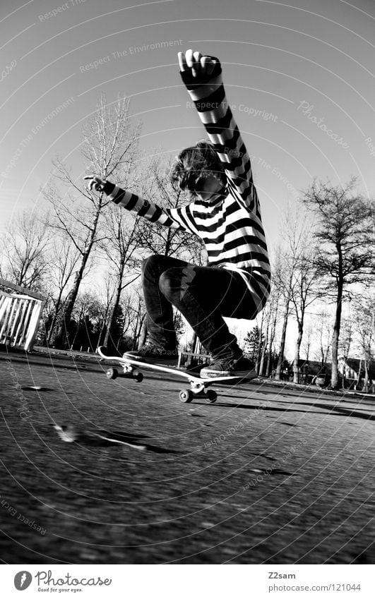 LANDING Abenddämmerung Aktion Skateboarding Zufriedenheit springen gestreift Teer Beton Licht Baum Weitwinkel Jugendliche Sport Knie drücken Funsport Bewegung
