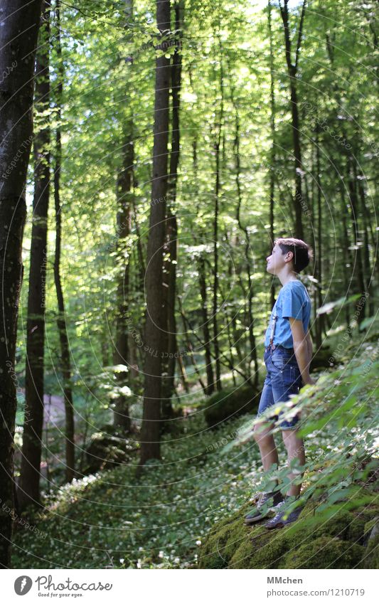 Wie komm´ ich da jetzt hin? Zufriedenheit Abenteuer Sommer Sonne Berge u. Gebirge wandern Kind Junge 8-13 Jahre Kindheit Natur Blume Wald beobachten Denken