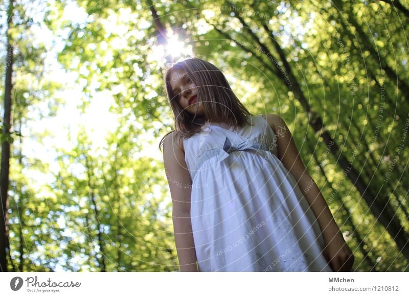 Nanuuu? Kind Mädchen 8-13 Jahre Kindheit Natur Sonne Sommer Baum Wald Kleid beobachten entdecken Blick stehen grün weiß Gelassenheit geduldig ruhig Neugier