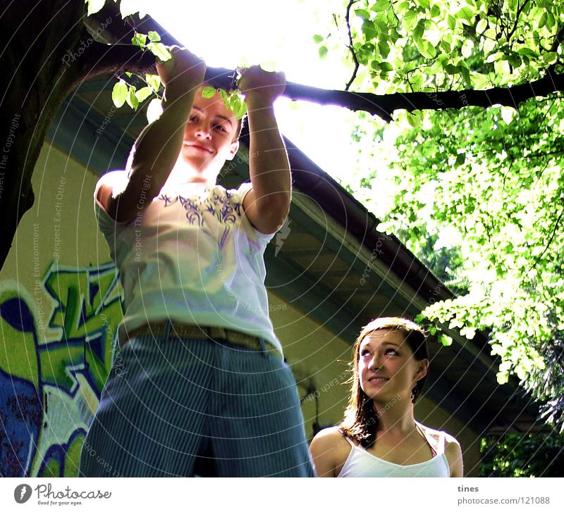 Sommer im Park Baum unsicher Bewunderung Geschwister Kraft Jugendliche Grafitti Coolness Muskulatur