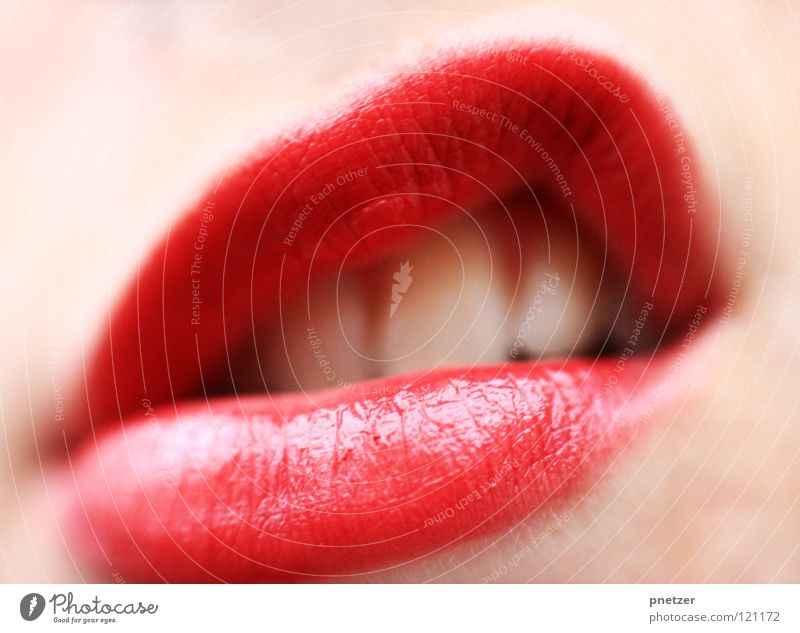 Lips Frau feminin Lippenstift schön Makroaufnahme Nahaufnahme lippen rot Mund Zähne