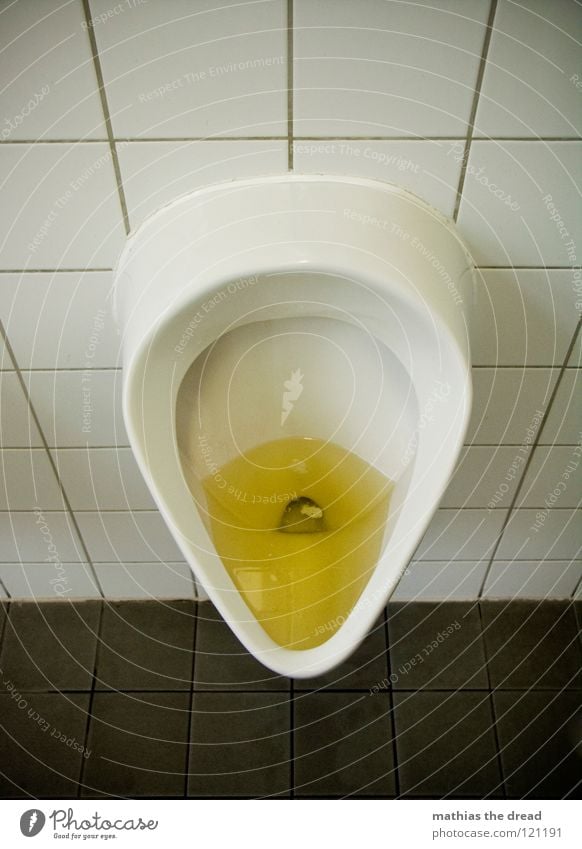 VERSTOPFT Pissoir gelb Flüssigkeit weiß Keramik hängend urinieren Sauberkeit dreckig Abfluss Mann typisch Ekel offen rund Bad Schifffahrt Vertrauen Toilette