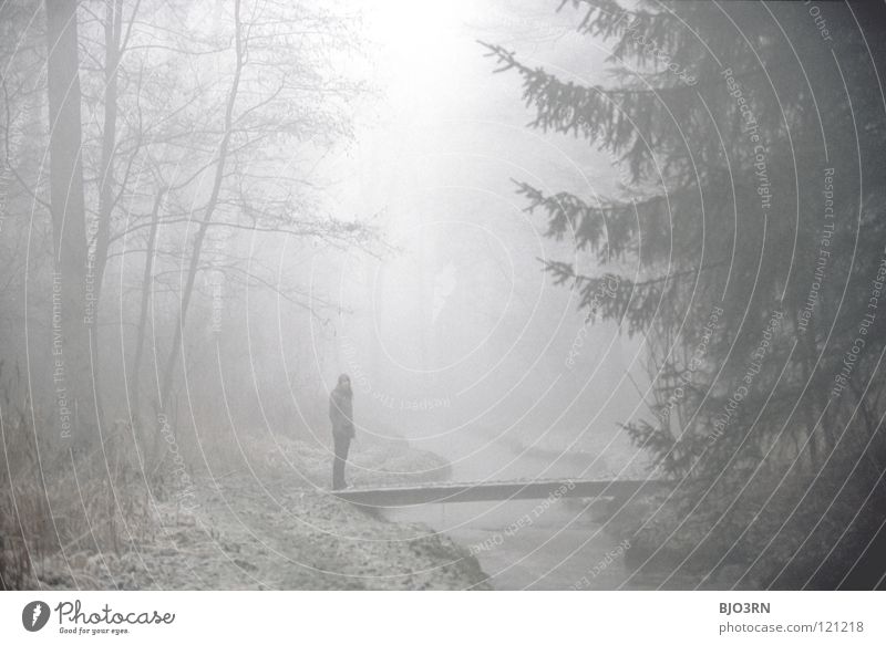 foggy woods #3 Nebel Einsamkeit kalt dunkel Baum Winter Wald Bach nass feucht Fluss gefroren Natur Nebelstimmung Fußgänger gehen ungewiss geheimnisvoll Frau