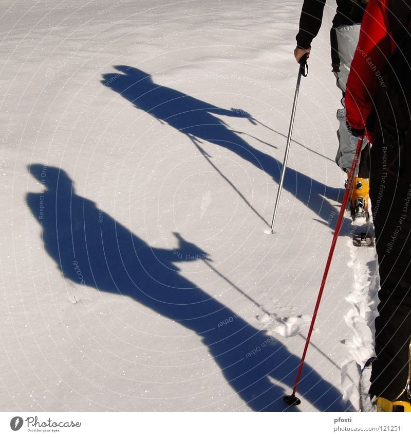 leichter Anstieg Winter Ferien & Urlaub & Reisen wandern Rucksack Skifahren Skier alpin Steigung aufsteigen Gipfel ruhig harmonisch Freizeit & Hobby gehen