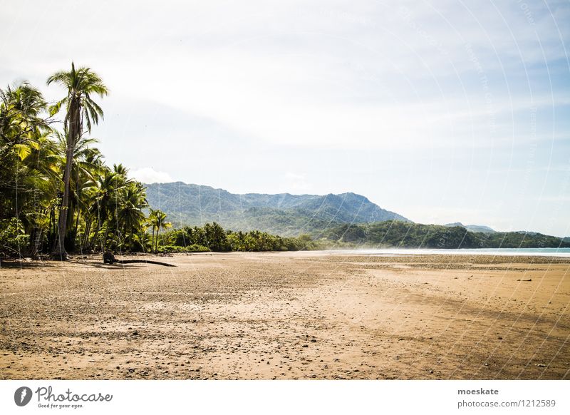 Nationalpark Marino Ballena Costa Rica Natur Landschaft Sand Wasser Himmel Sommer Schönes Wetter Wärme Strand blau grün Pazifik Meer Wald Farbfoto