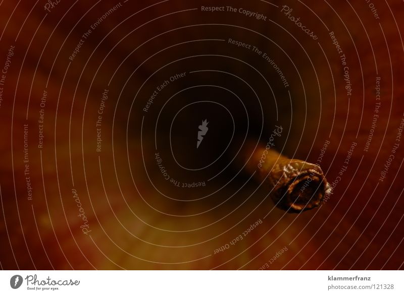 Schwarzes Loch schwarz Schwarze Löcher Stengel Anziehungskraft aufsaugen Wissenschaften Weltall UFO verführerisch