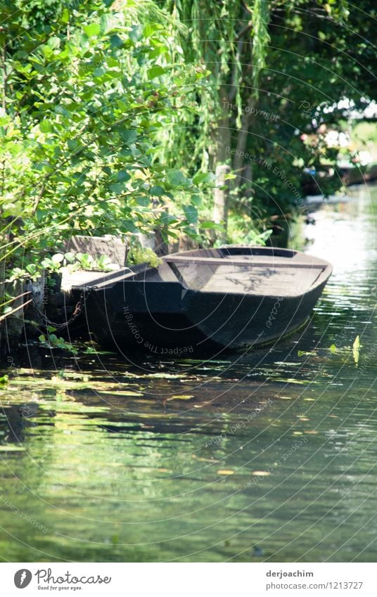 Spreewäldergurkenboot. Ein Altes Ruder Holzboot liegt am Flußufer festgemacht. Bäume und Büsche im Hintergrund. Spreewald Idylle.Brandenburg. Freude harmonisch