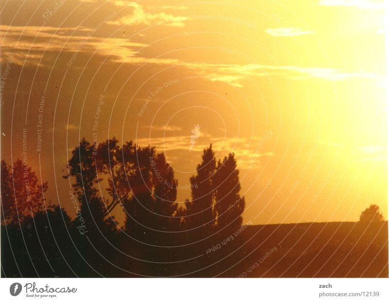 Sonnenbrand Farbfoto Außenaufnahme Menschenleer Textfreiraum oben Dämmerung Silhouette Sonnenaufgang Sonnenuntergang Gegenlicht Zentralperspektive Landschaft