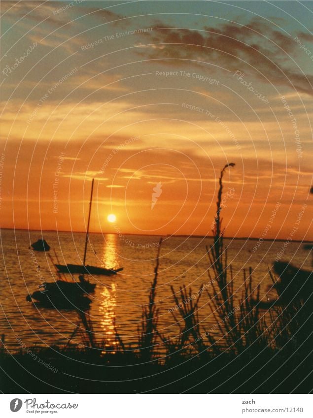 Sonnenuntergang Farbfoto Außenaufnahme Abend Dämmerung Reflexion & Spiegelung Sonnenaufgang Totale Meer Segeln Wasser Wolken Horizont Sommer Küste Ostsee See