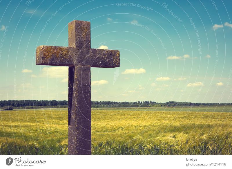 Das mit dem Kreuz Natur Himmel Wolken Horizont Sonnenlicht Frühling Sommer Schönes Wetter Nutzpflanze Getreidefeld Feld Wald Christliches Kreuz Zeichen