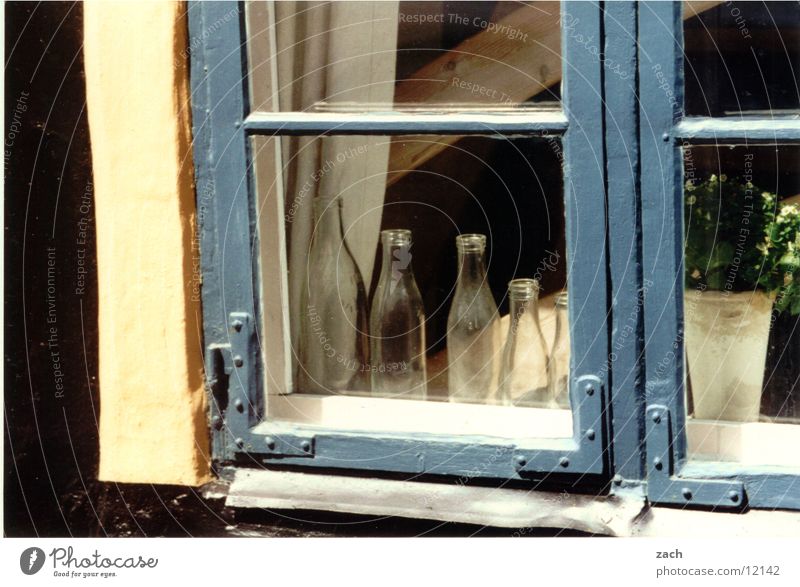 Fenster in Dänemark Farbfoto Außenaufnahme Detailaufnahme Menschenleer Textfreiraum unten Tag Flasche Häusliches Leben Haus Dekoration & Verzierung Blume