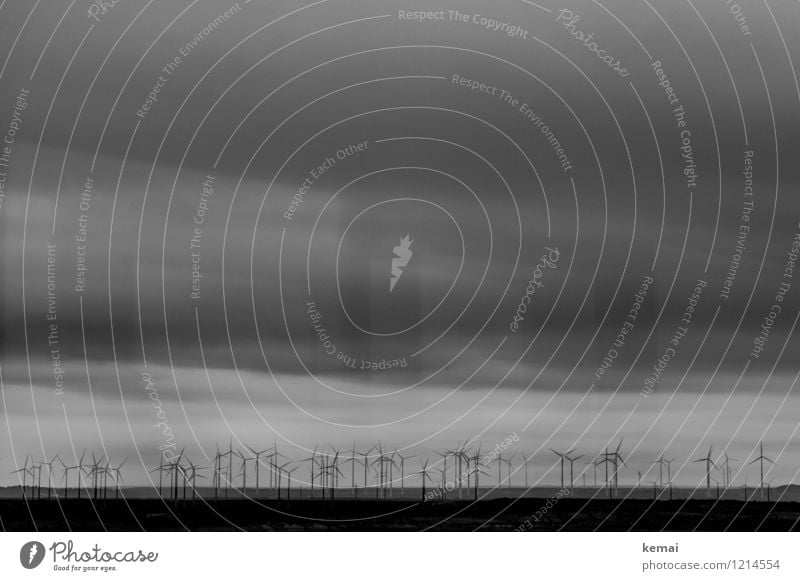 Spreedorado | Windräder Maschine Windrad Energiewirtschaft Erneuerbare Energie Windkraftanlage Himmel Wolken Horizont außergewöhnlich bedrohlich dunkel viele